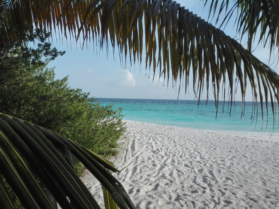 Strand Adaaran Select Meedhupparu Island Resort - Premium All Inclusive