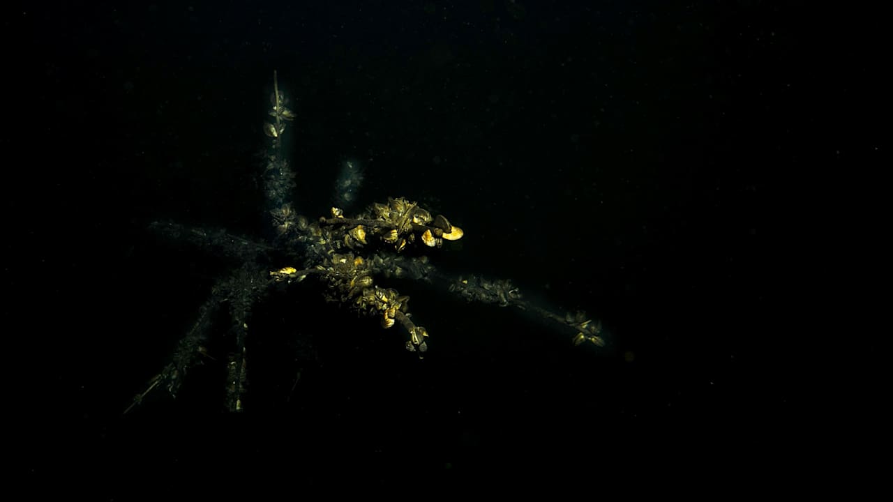 Sport & Freizeit See- und Waldresort Gröbern