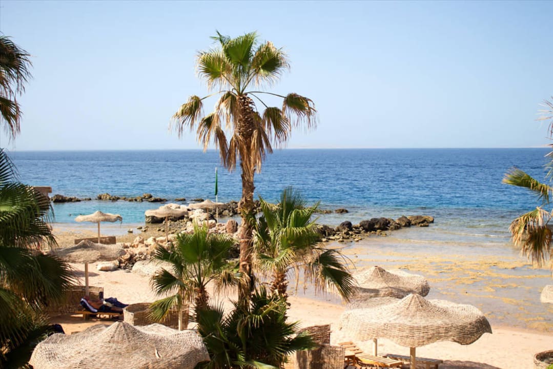 Strand  Pickalbatros Citadel Resort