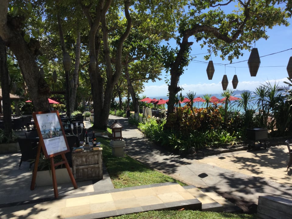 Gartenanlage The Laguna A Luxury Collection Resort & Spa