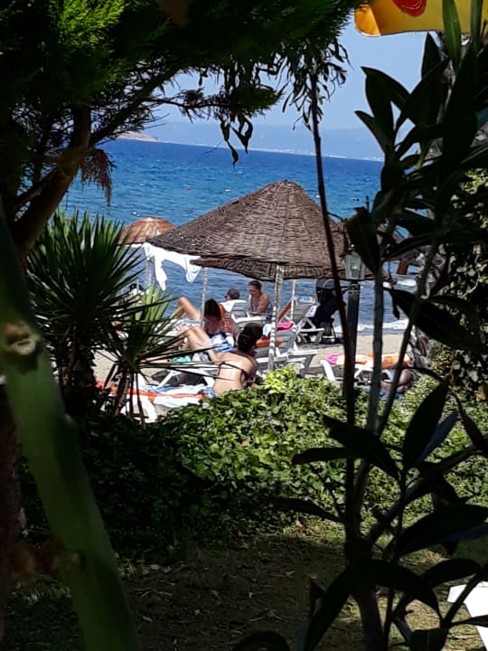 Strand Dogan Paradise Beach