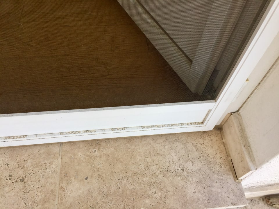 Sonstiges Ferienwohnungen Kriemhild und Brunhilde in der Villa Rheingold