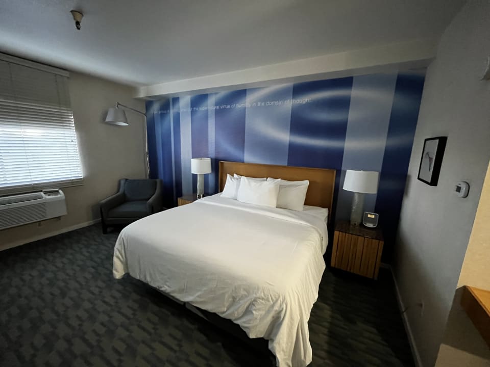 Zimmer The Domain Hotel