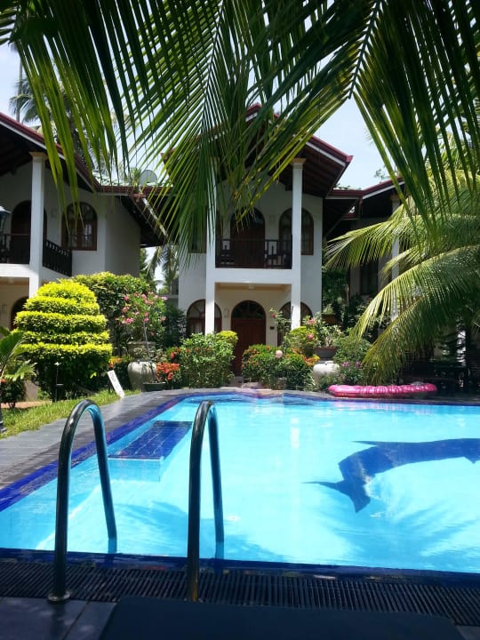 Pool Hotel Bentota Village
