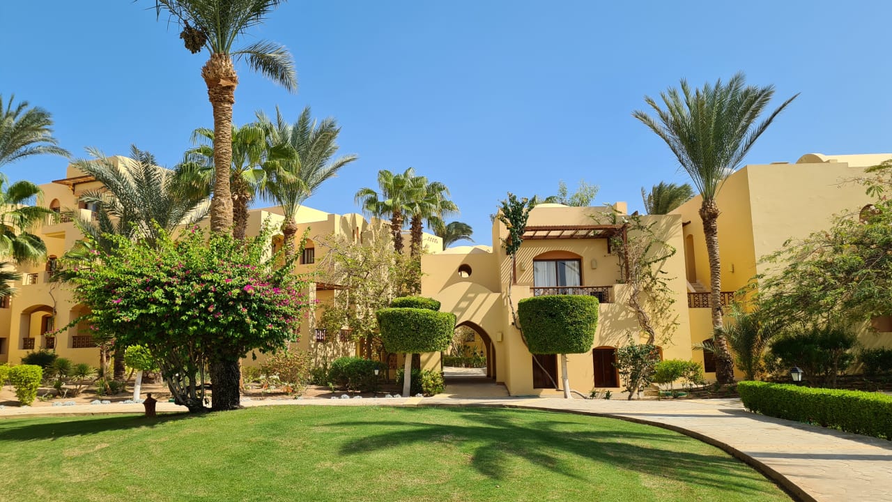 Gartenanlage Steigenberger Coraya Beach - Adults only