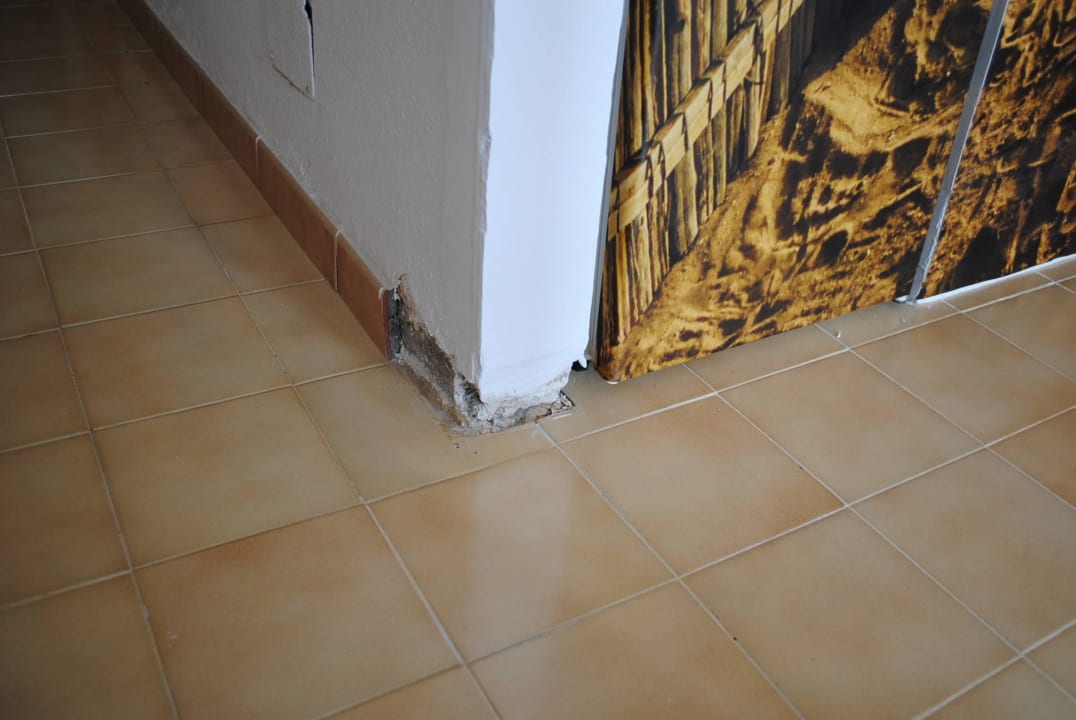 Zimmer Relaxia Olivina