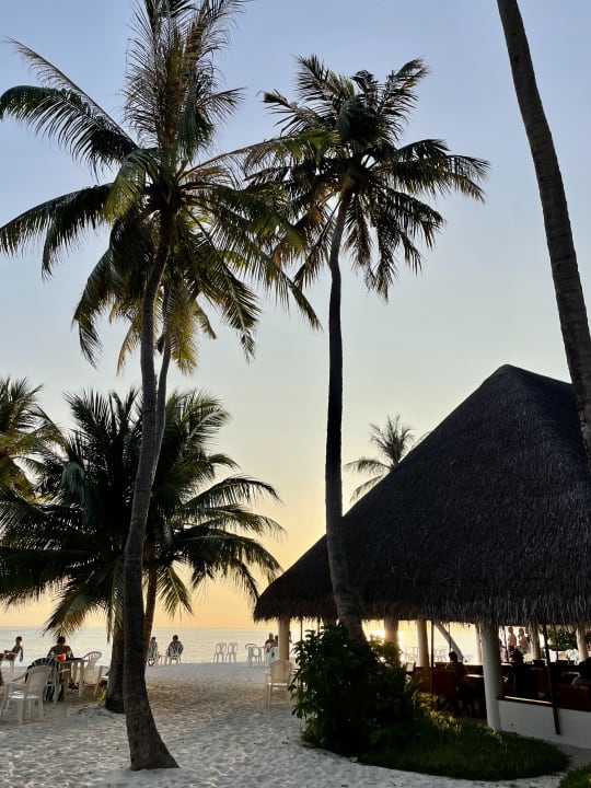 Gastro Fihalhohi Maldives