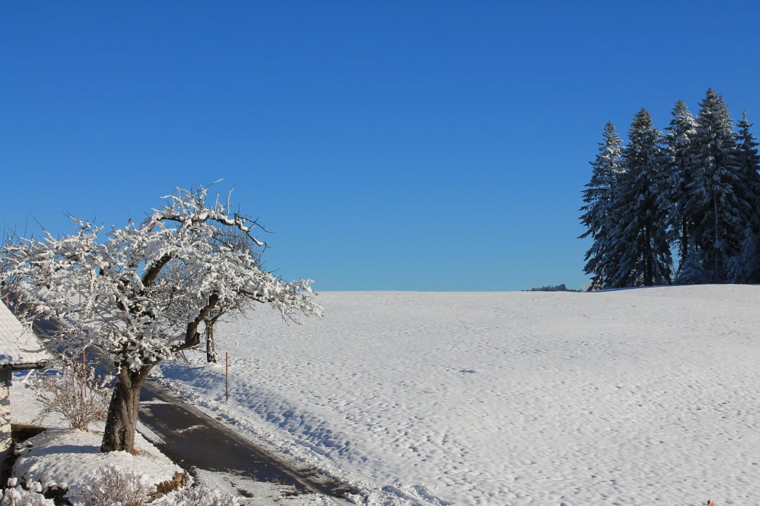 Blick vom Balkon Ferienhof Weh