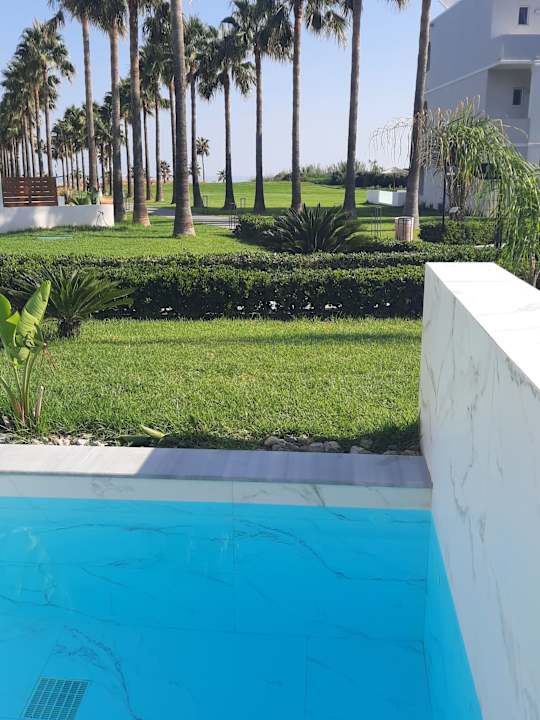 Pool Delfina Tropic Beach
