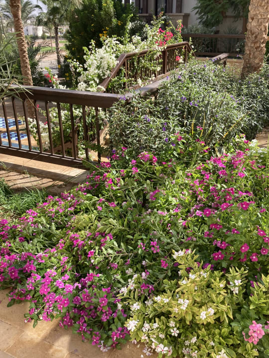 Außenansicht Ancient Sands Golf Resort