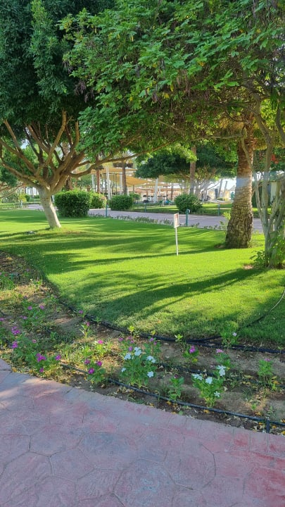 Außenansicht Desert Rose