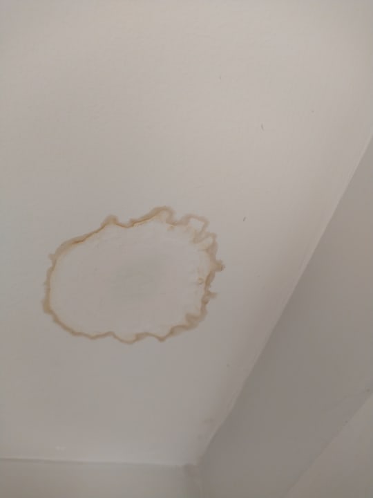 Zimmer Holiday Inn Southampton