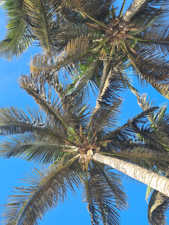 Pool Hipotels La Geria