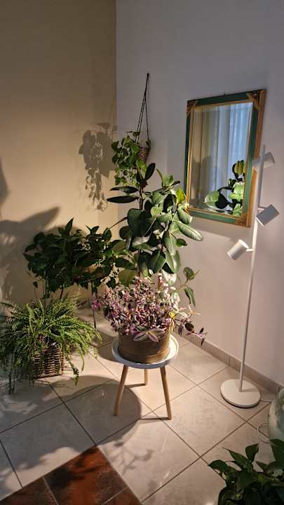 Lobby Hotel Marebello