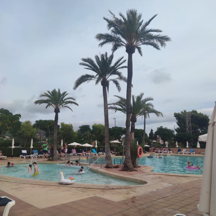 Pool Aparthotel Ciudad Laurel