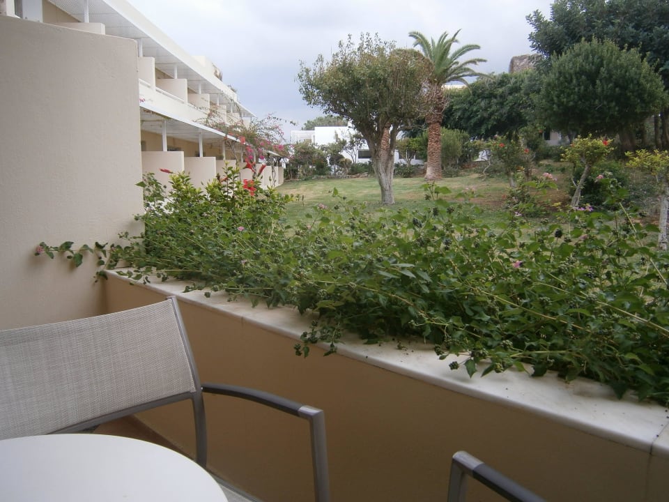 Gartenblick von der Terrasse Lyttos Beach Hotel