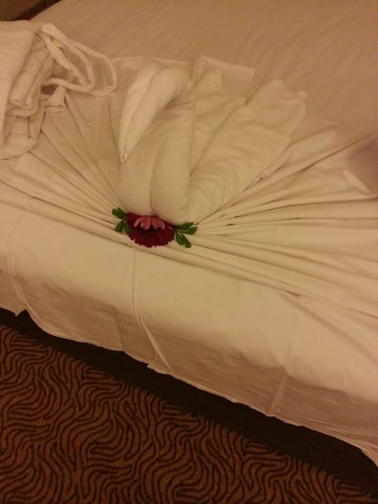 6 Crystal De Luxe Comfort Collection