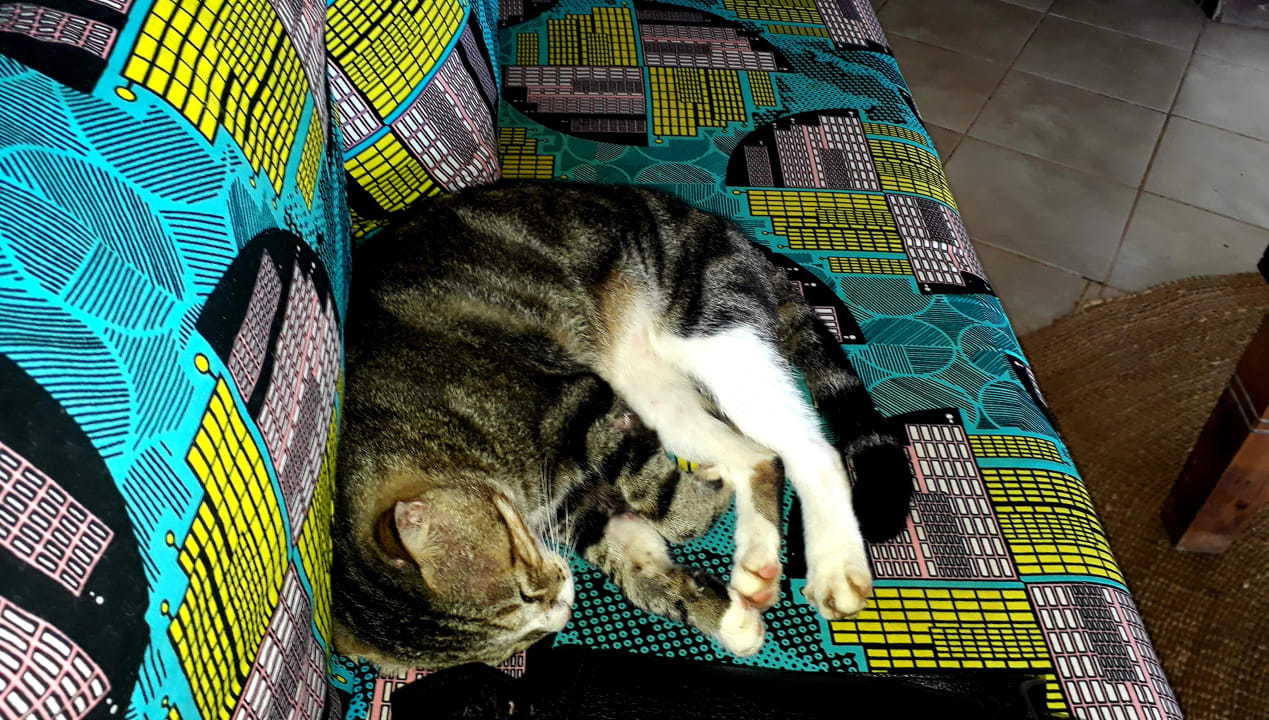 Lobby Spice Island Hotel & Resort