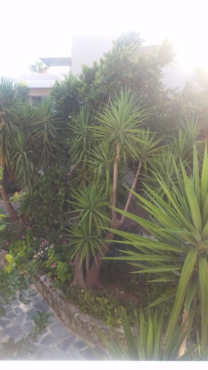 Gartenanlage HARPIN Happy Days Beach Hotel