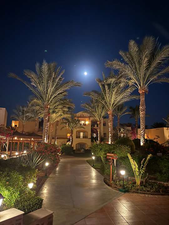 Gartenanlage Steigenberger Coraya Beach - Adults only