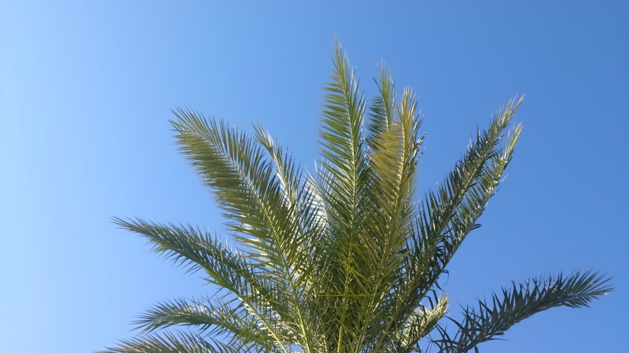 Небо Stella Garden Resort & Spa, Makadi Bay