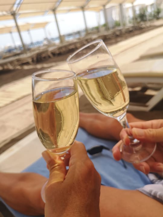 Gastro Saturn Palace Resort Hotel