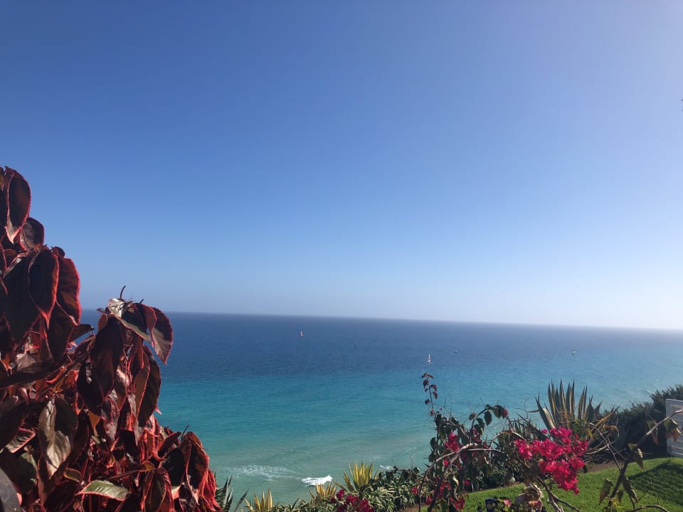 Ausblick ROBINSON ESQUINZO PLAYA