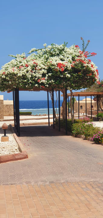 Ausblick Mövenpick Resort El Quseir