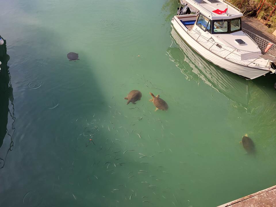 Sonstiges Royal Taj Mahal Hotel