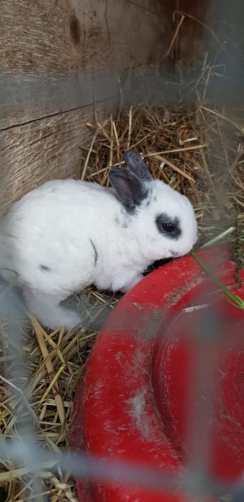 Sonstiges Nordseeferienhof Katthusen