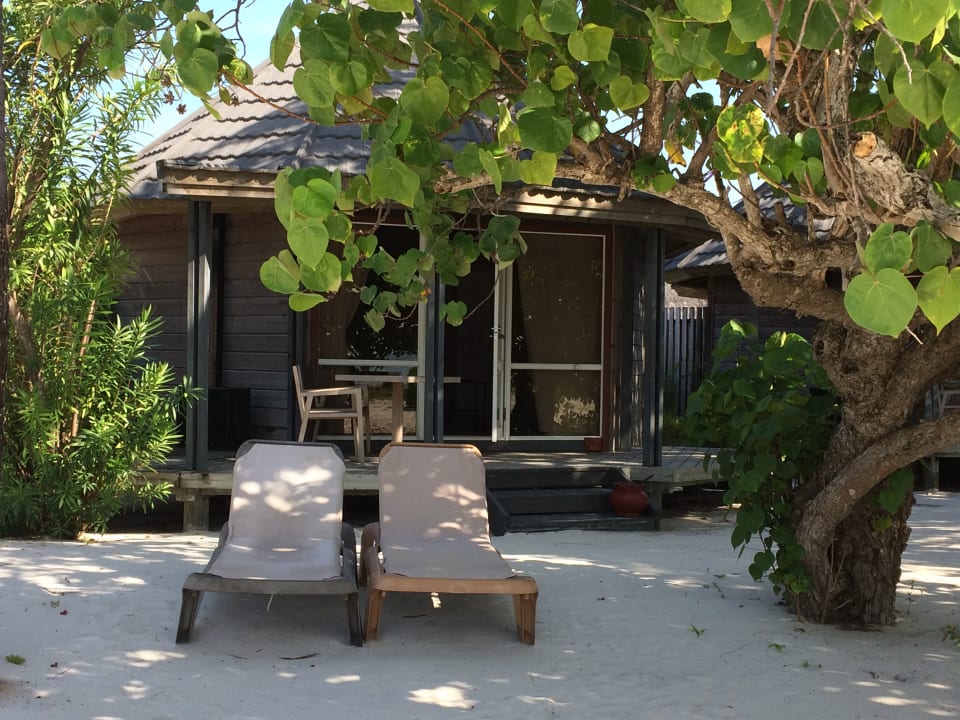 Zimmer Kuredu Island Resort & Spa