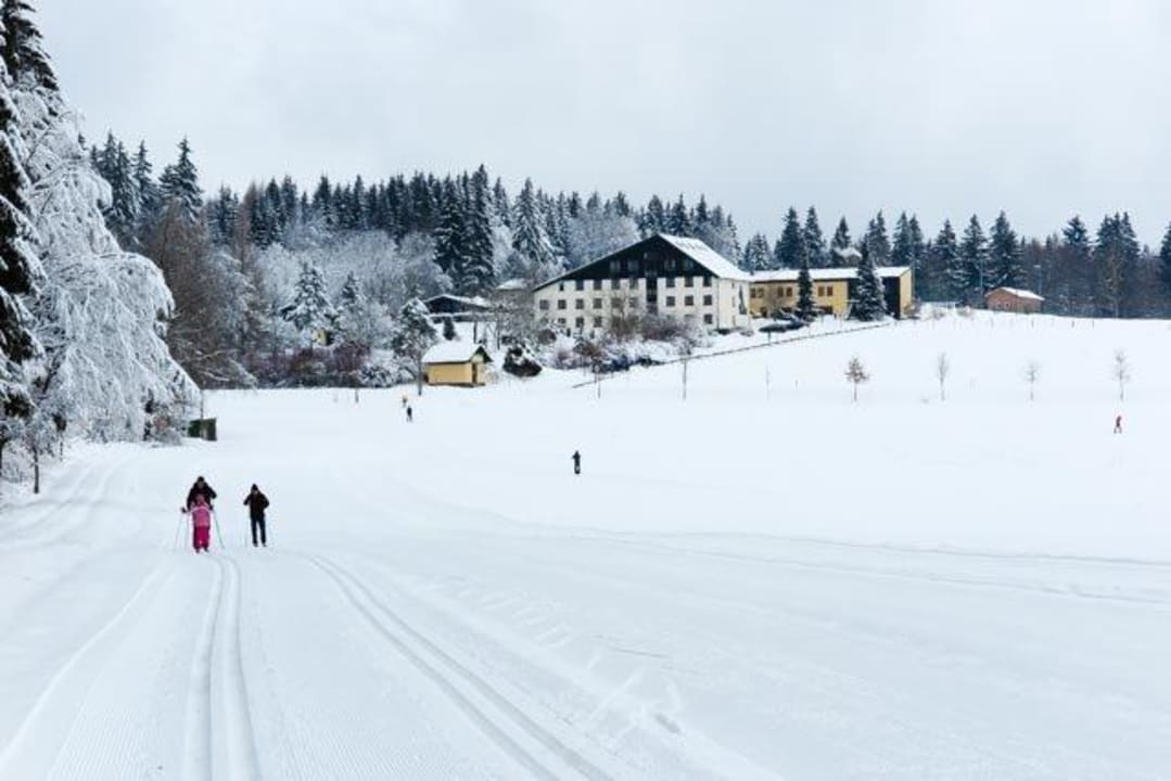 Gepflegte Loipe direkt vor der Tür Hotel Forstmeister