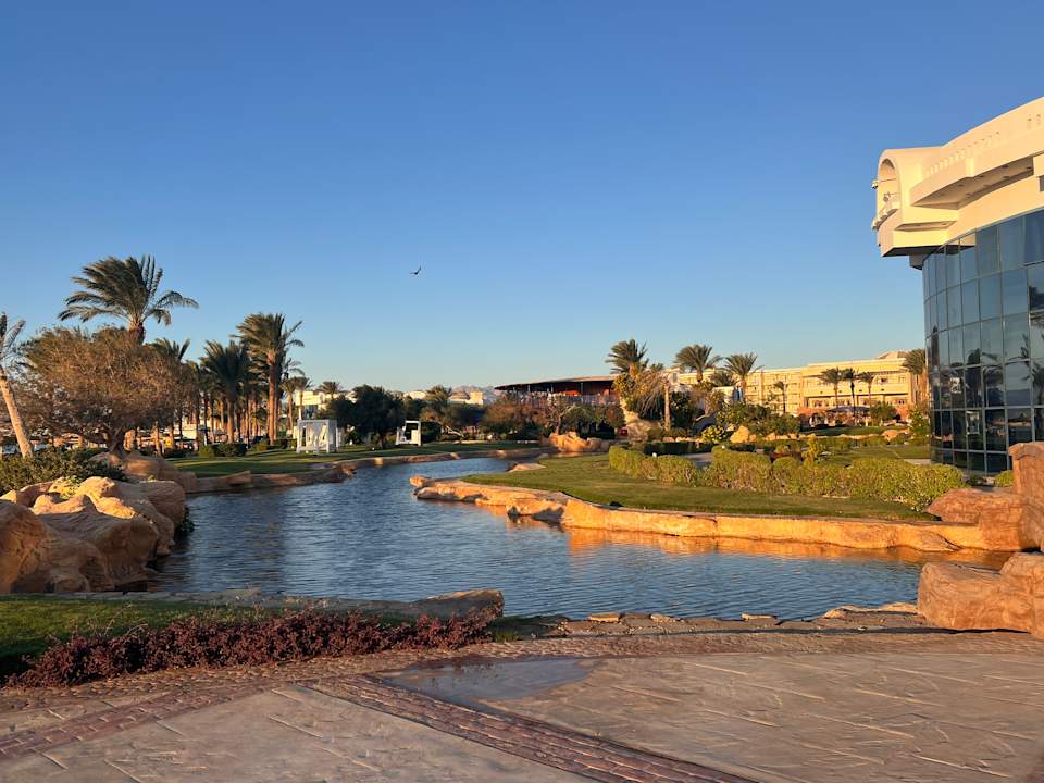 Gartenanlage Palm Royale Resort - Soma Bay