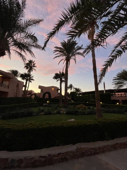 Gartenanlage Eagles Paradise Abu Soma