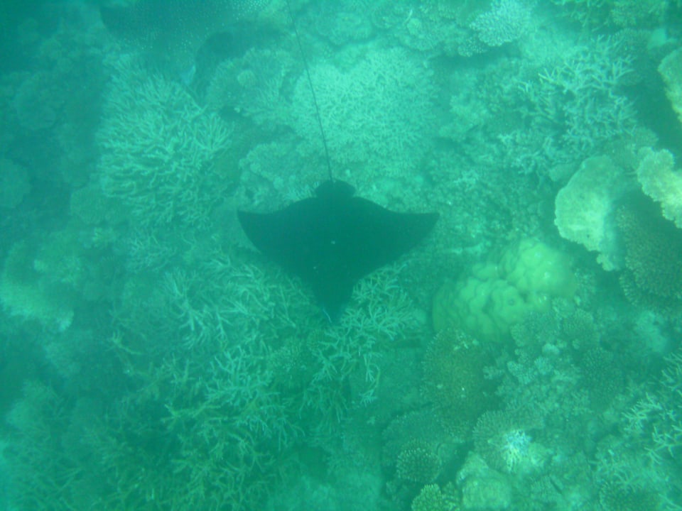 Adlerrochen direkt unter uns ananea Diamonds Athuruga