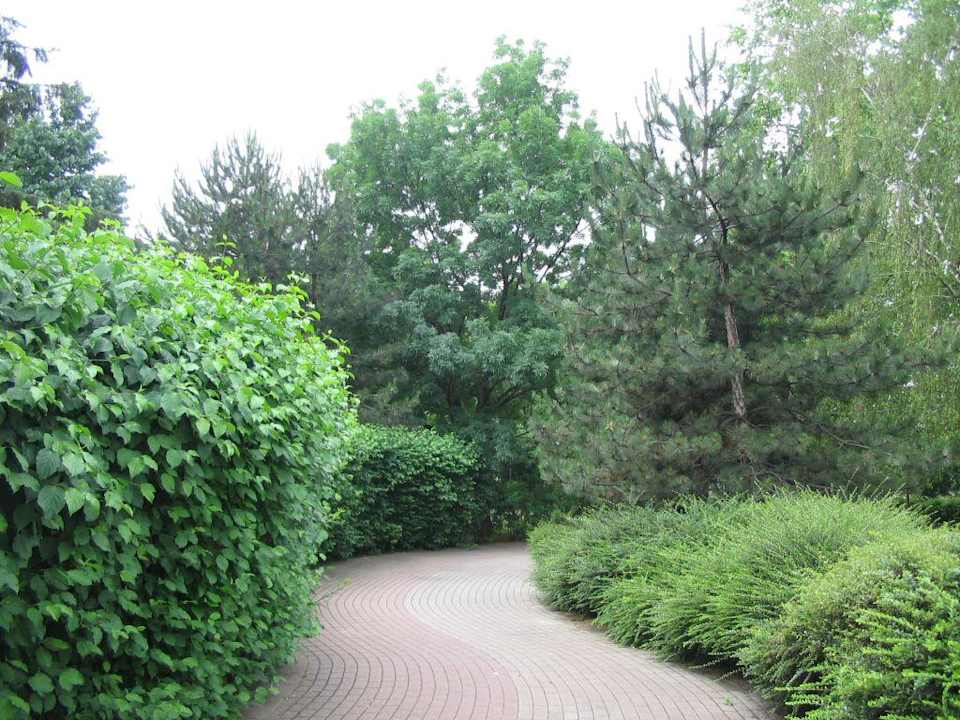Nice garden behind the hotel Danubius Hotel Helia