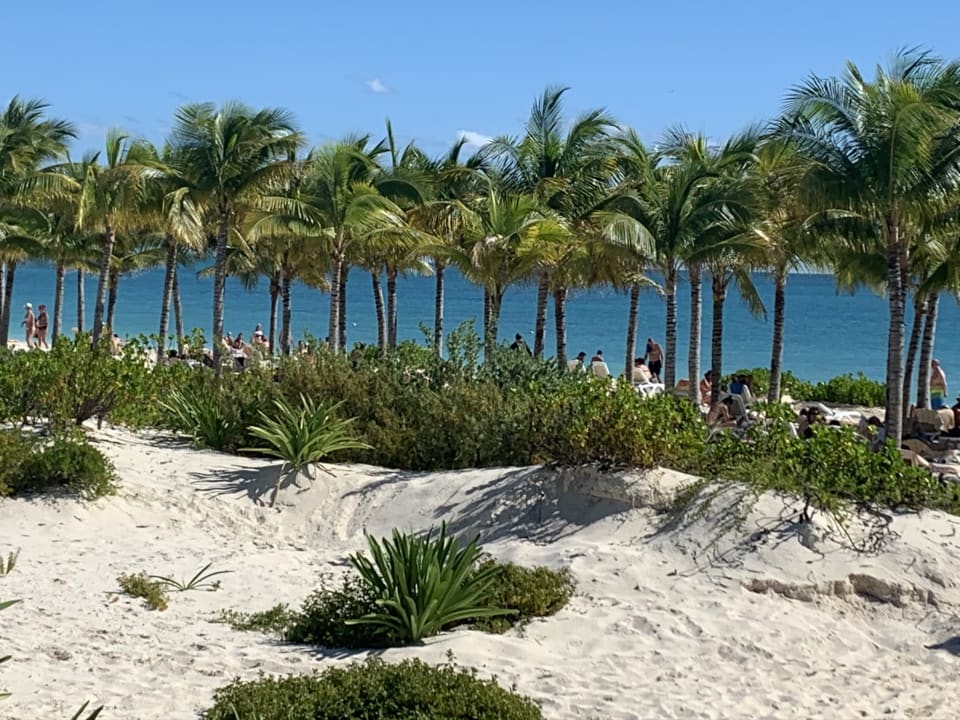 Strand Hotel Riu Dunamar