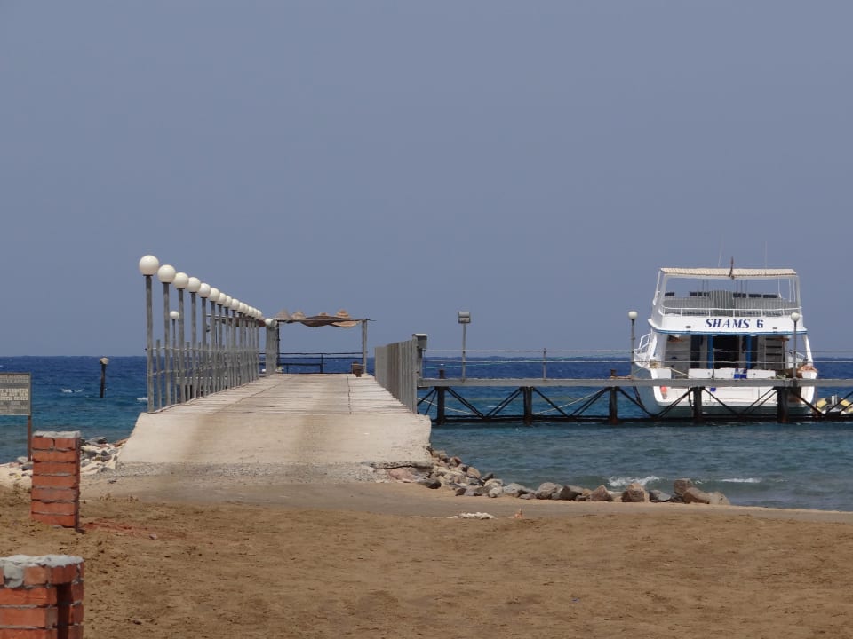 Steg und die Shams 6 Shams Alam Beach Resort