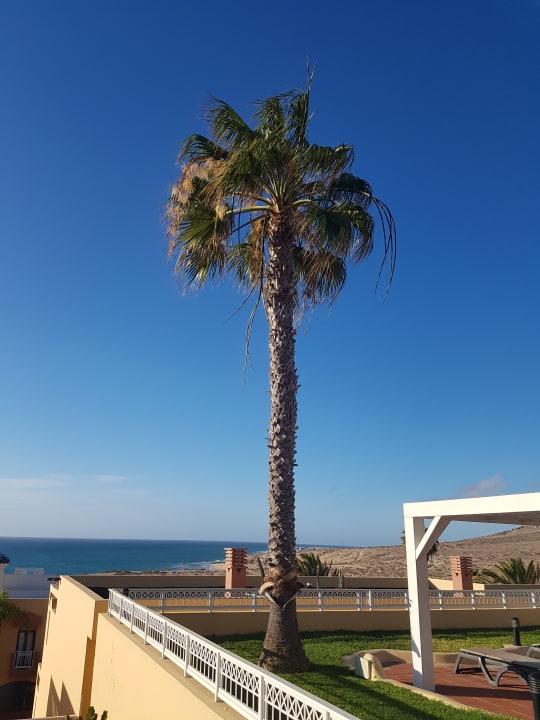 Gartenanlage H10 Playa Esmeralda - Adults only