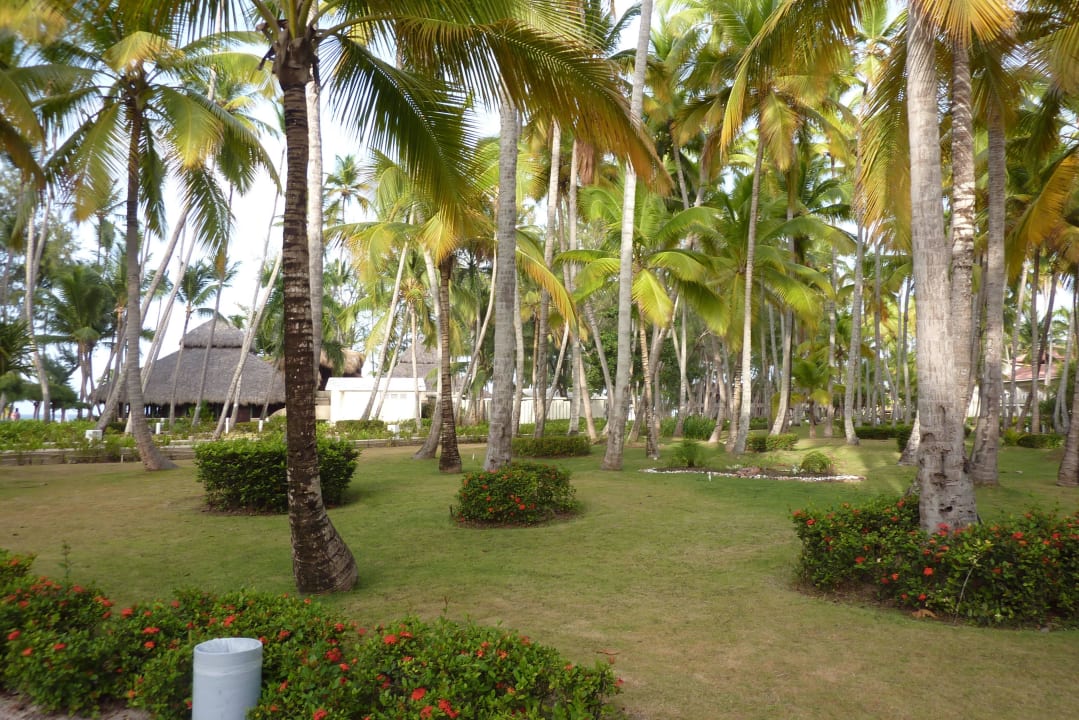 Pohoda  Vista Sol Punta Cana