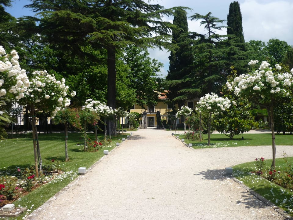 View towards the hotel Falkensteiner Hotel Adriana