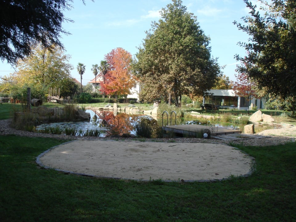 Biologic Pool Casa das Palmeiras