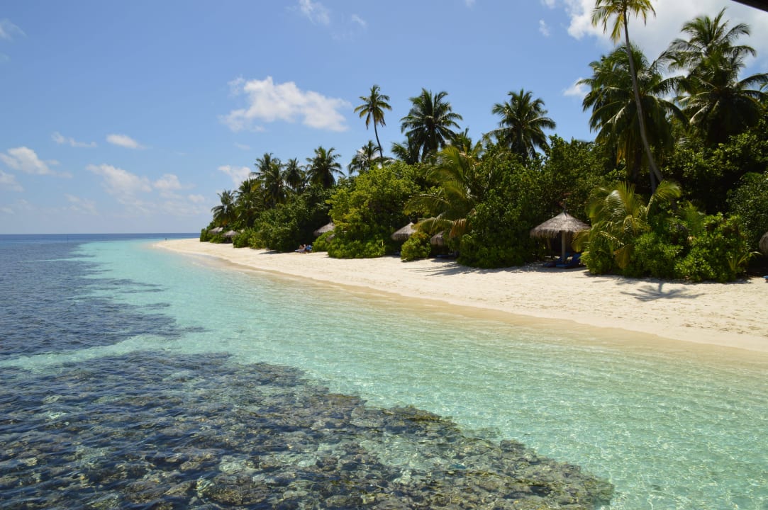Blick auf den Strand und die Korallen ROBINSON MALDIVES