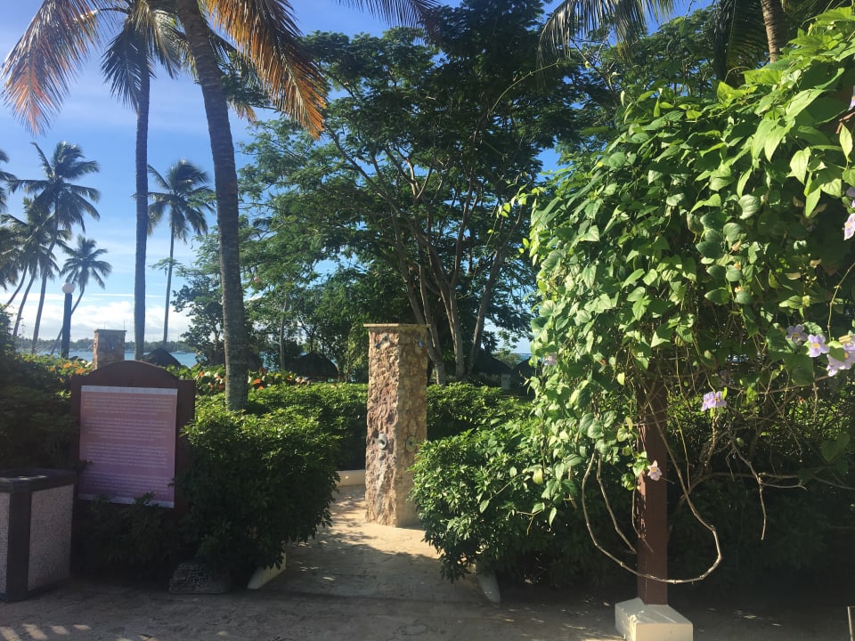 Gartenanlage Dreams La Romana Resort & Spa