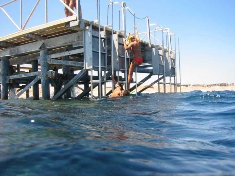 Einstieg Hausriff Hotel Hauza Beach Resort