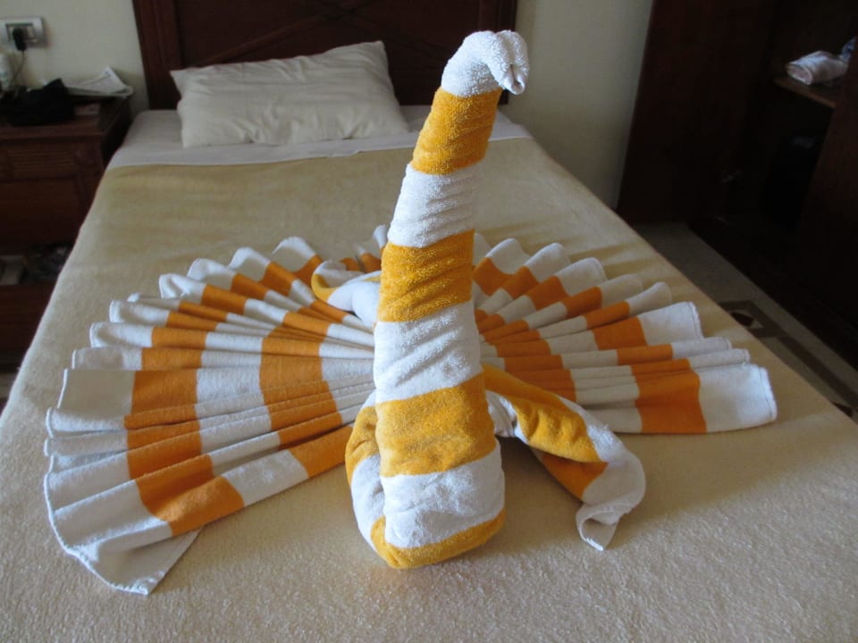 Лебедь Imperial Shams Abu Soma