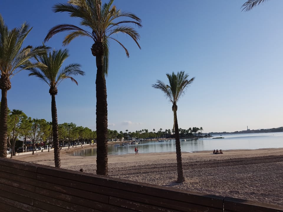 Strand Globales Condes de Alcudia