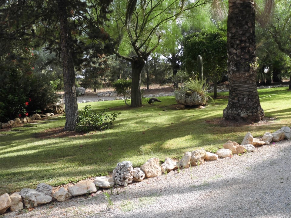 Gartenanlage Finca Ses Sitjoles