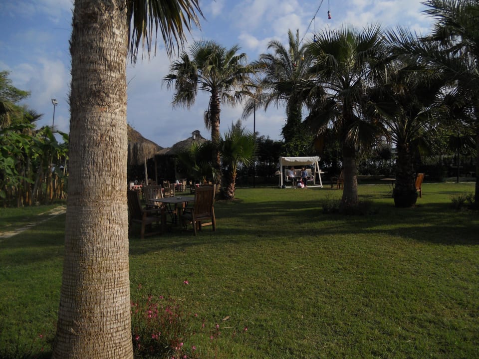 Сад! Belek Beach Resort Hotel