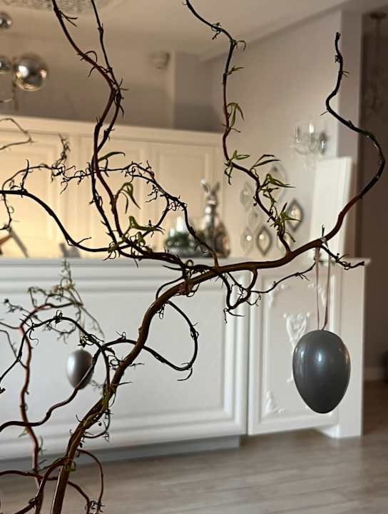 Lobby Dworek Bukowy Park